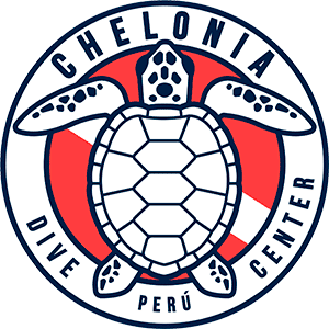 Chelonia Dive Center